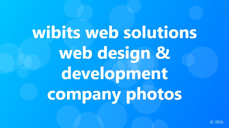wibits web solutions web design & development company photos