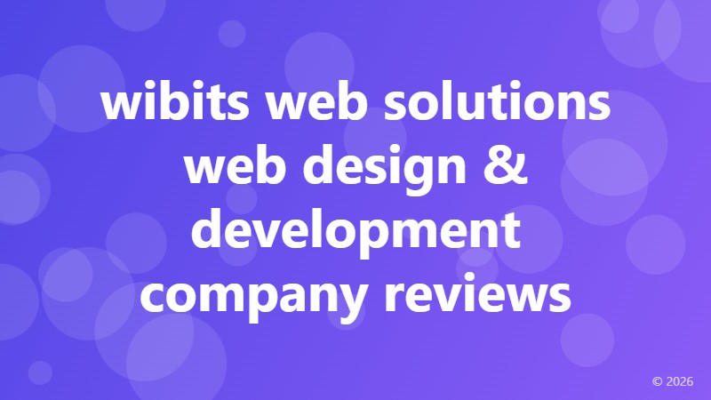 wibits web solutions web design & development company reviews